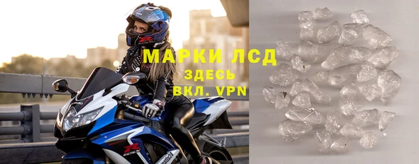 прущие грибы Саяногорск