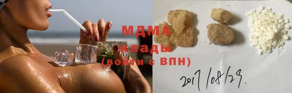 прущие грибы Саяногорск