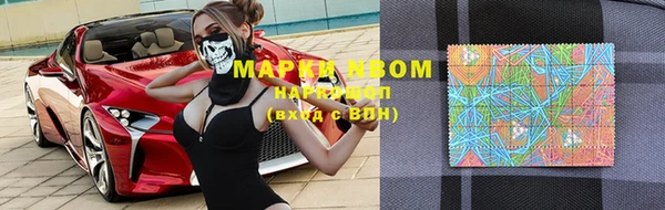 мяу мяу кристалл Богданович